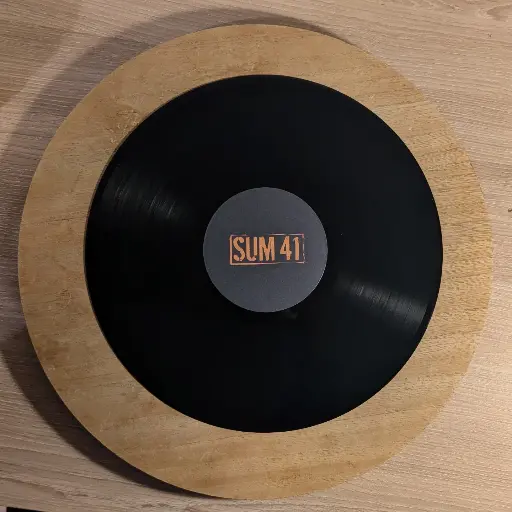 Vinyle Sum 41