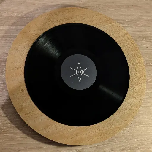 Vinyle Bring Me The Horizon - Antivist 
